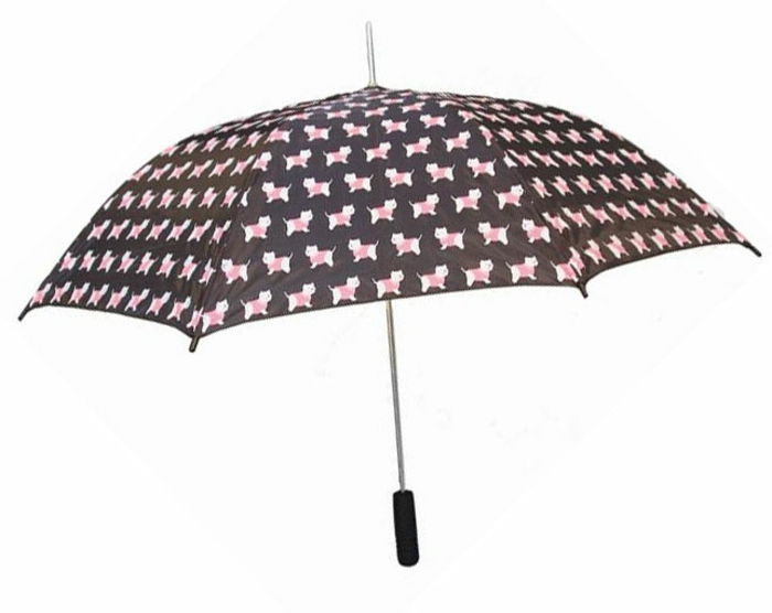 fancy-paraplyer-mycket-eleganta-look-and-white-bakgrund