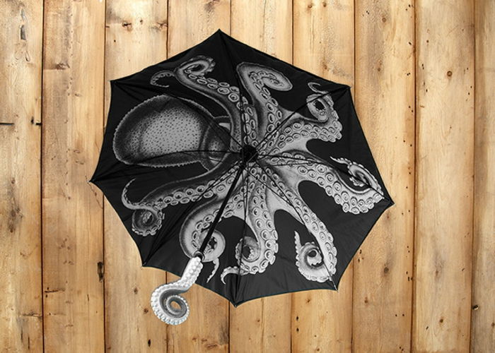 fancy-paraplyer-great design