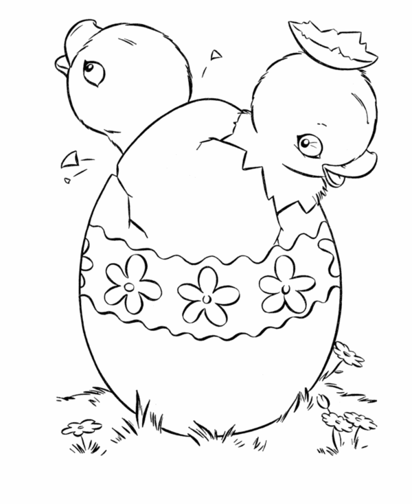 Coloring-easter-twee-pullet-come-from-single-ei