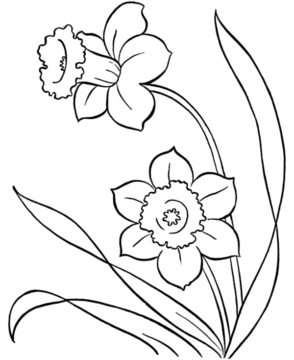 Coloring-easter-two-beautiful-flowers