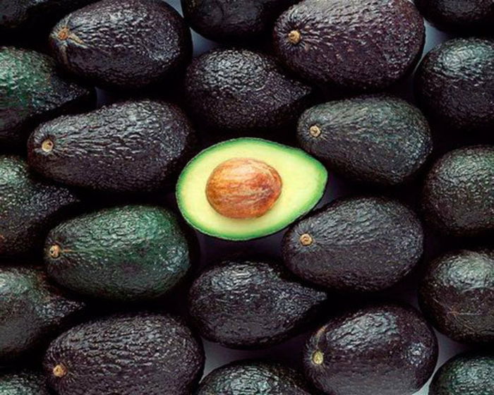 avokado, öğle yemeği için ve akşam yemeği için lezzetli sağlıklı yüksek yağlı organik doğal ürün için uygundur.