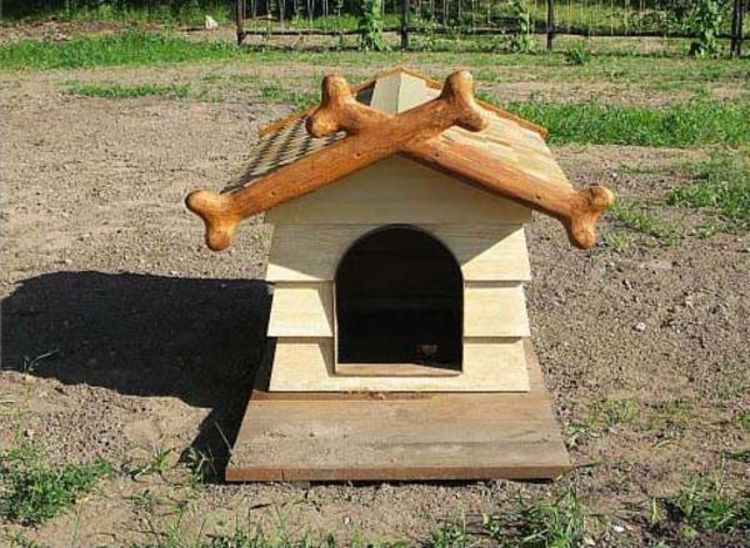wood-bone strechou-žlto-dog-house-chic-ušľachtilý-zvlášť-out-bodavá