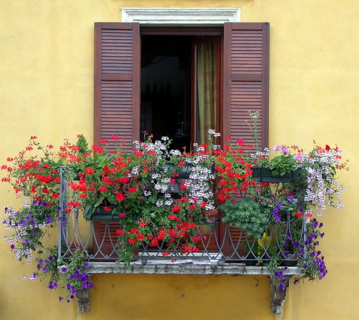 balkong-blomster-gul-veggen