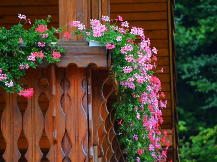 balkong-blomster-rosa-nydelig-farge