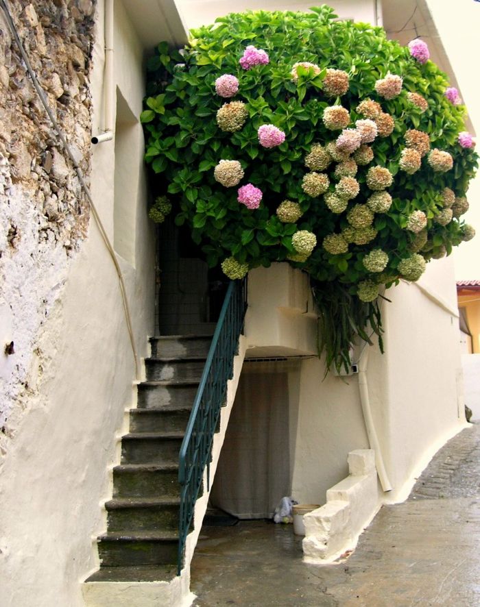 balkong-blomster-vakre-trappene