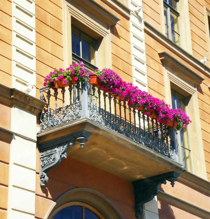 balkong-blomster-zyklamenfarbige-anlegg