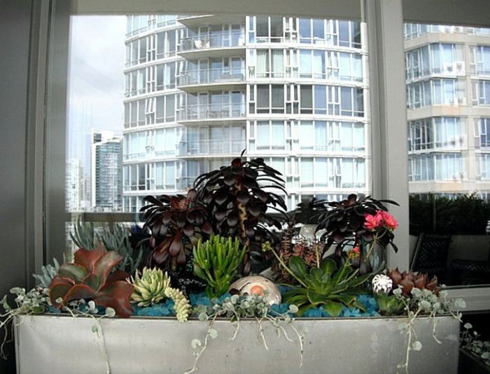 varanda-decoration-muitos planta-the-window