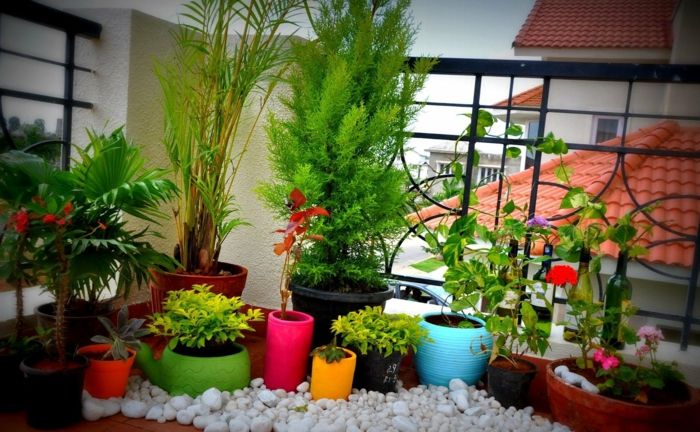 varanda-decoration-muitos planta-in-colorido-pots