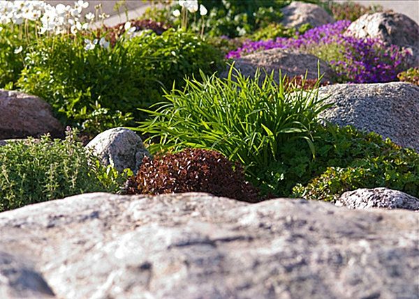 pedras com plantas combinam para um design moderno de jardim