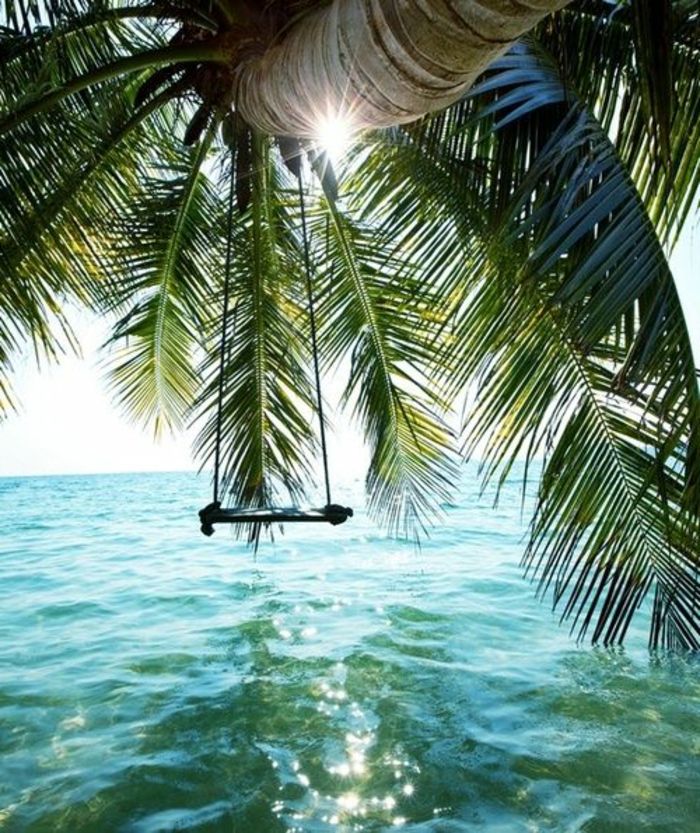 image-of-palm-rocking-on-the-water