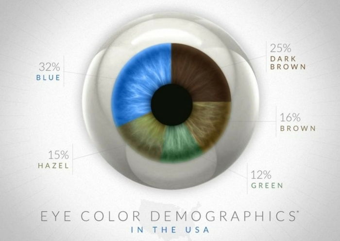 ktoré očné farby existujú v USA percentuálny podiel ľudí s rôznymi farbami očí