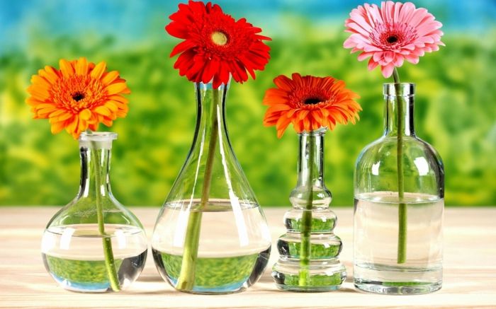 puikios fono paveikslėlių su gėlėmis, Gerbera skirtingais niuansais stiklo vazose, keturiomis spalvomis
