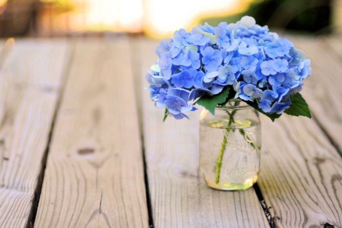 modré hortenzie v kamennej nádobe, ošumělý elegantný štýl, malé, jemné kytice, rôzne kvety