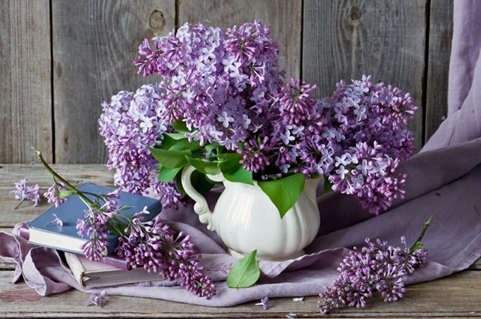 purpurinė alyva iš porceliano vazos, violetinės lubos, knygelė šalia puokštės, gražus fono paveikslėlis