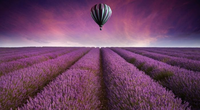 Nádherný obrázok na pozadí vo fialovej, levanduľovej pole a balón, romantická krajina
