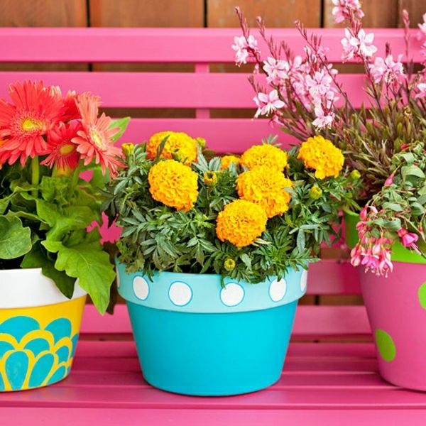 kvetináč-farebné-rastlina-bankový-pink-nápady-outdoor-garden-design