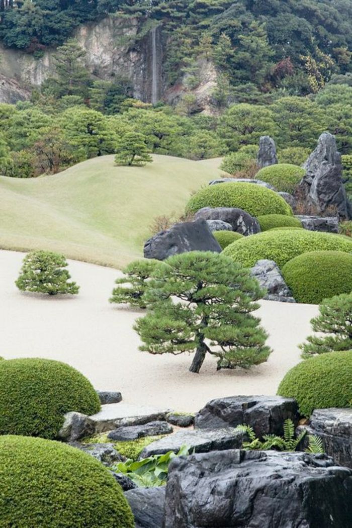 široký-Japanese Garden Zen bonsaje