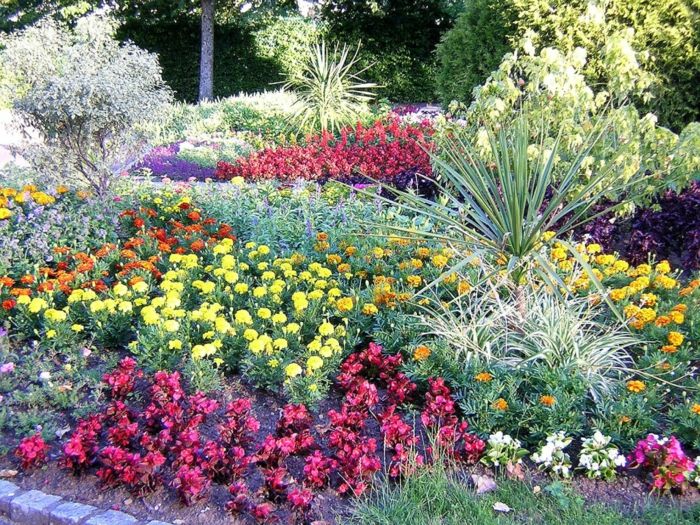 British Landscape Garden Park-muitas plantas de flores