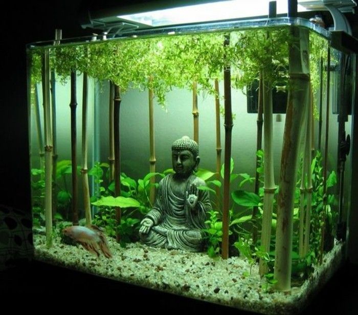 buddha-akvarium-deco-akvarium-med-bambu-set-stora och fina kvadratmeter akvarium