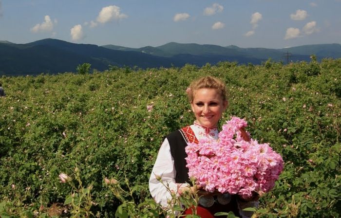 Bulharská ruža-a-young-žena-on-the-ohlásil