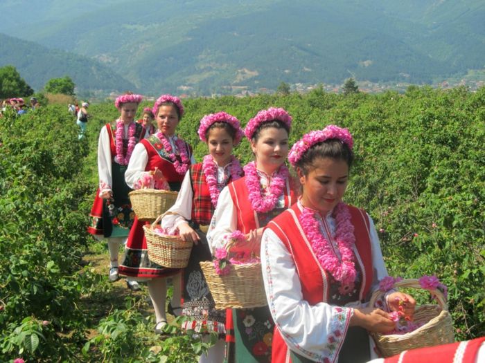 Bulharská ruža-a-riadok-by-bulharsko-ženy