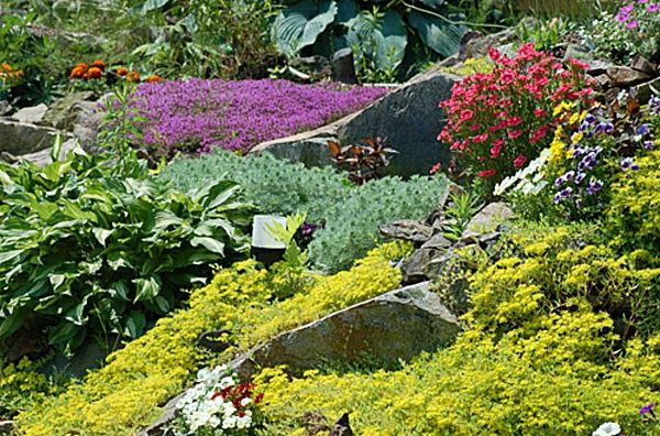 flores e pedras coloridas para o projeto do jardim