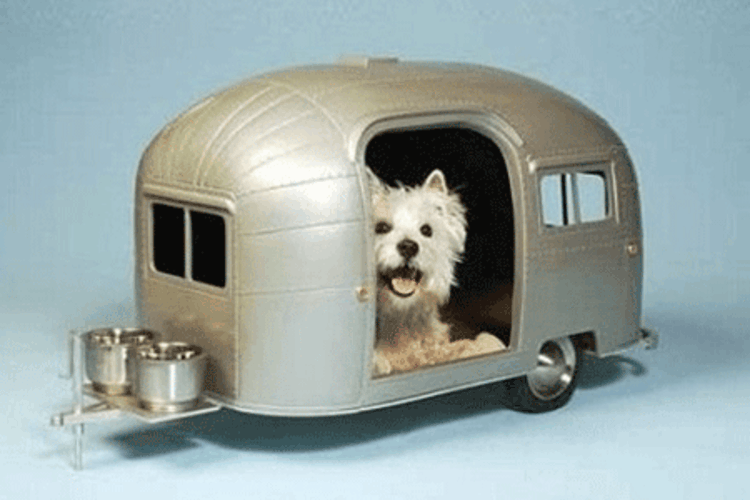 dog-house-as-caravan-funny-chic-ušľachtilý-pompézne-moderný dizajn