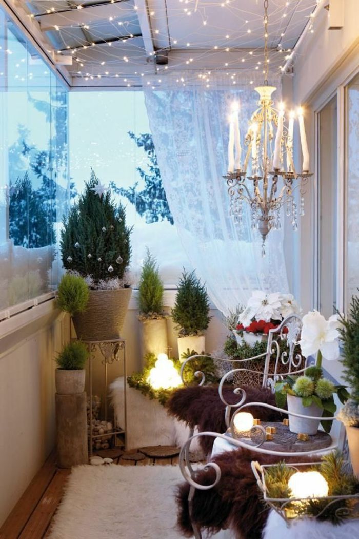 Cool Winter dekorativne balkon lončnice rože
