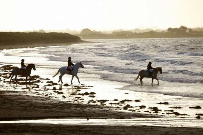 cool-foto-of-sea-drie-men-riding-horse
