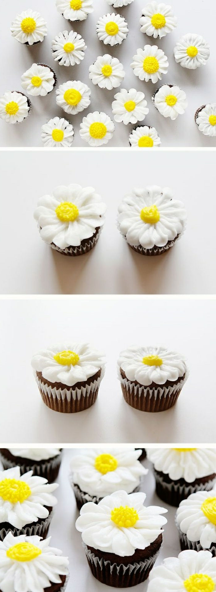 chocolade cupcakes versierd met witte ganzenbloemen