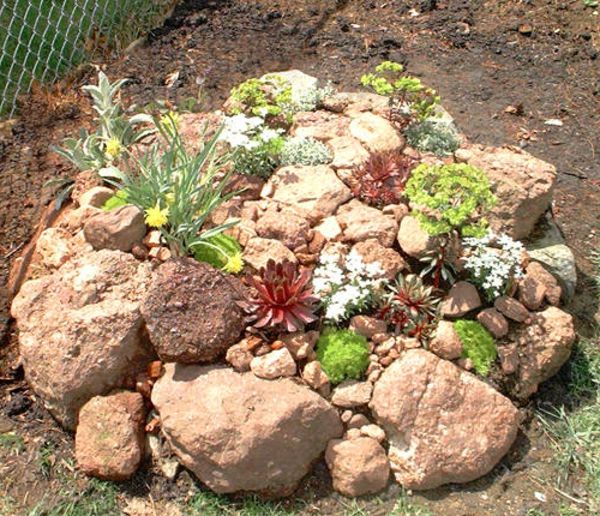 Decoração de pedra com pequenas plantas no jardim