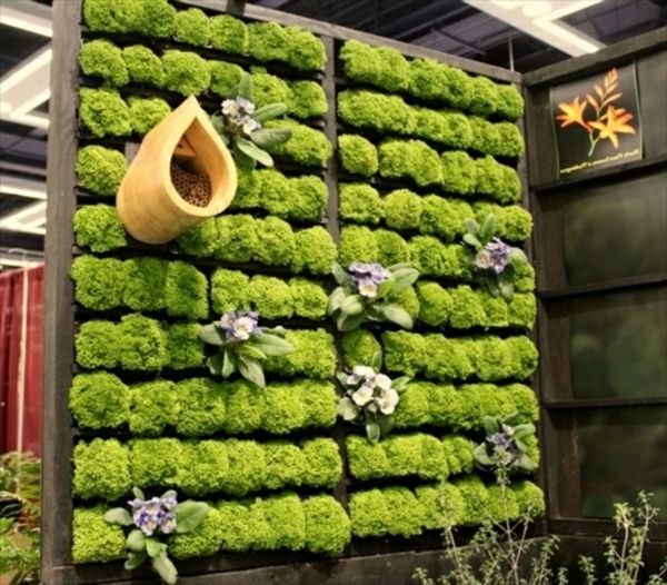 planta com paletes-de-madeira-decorar ideias-