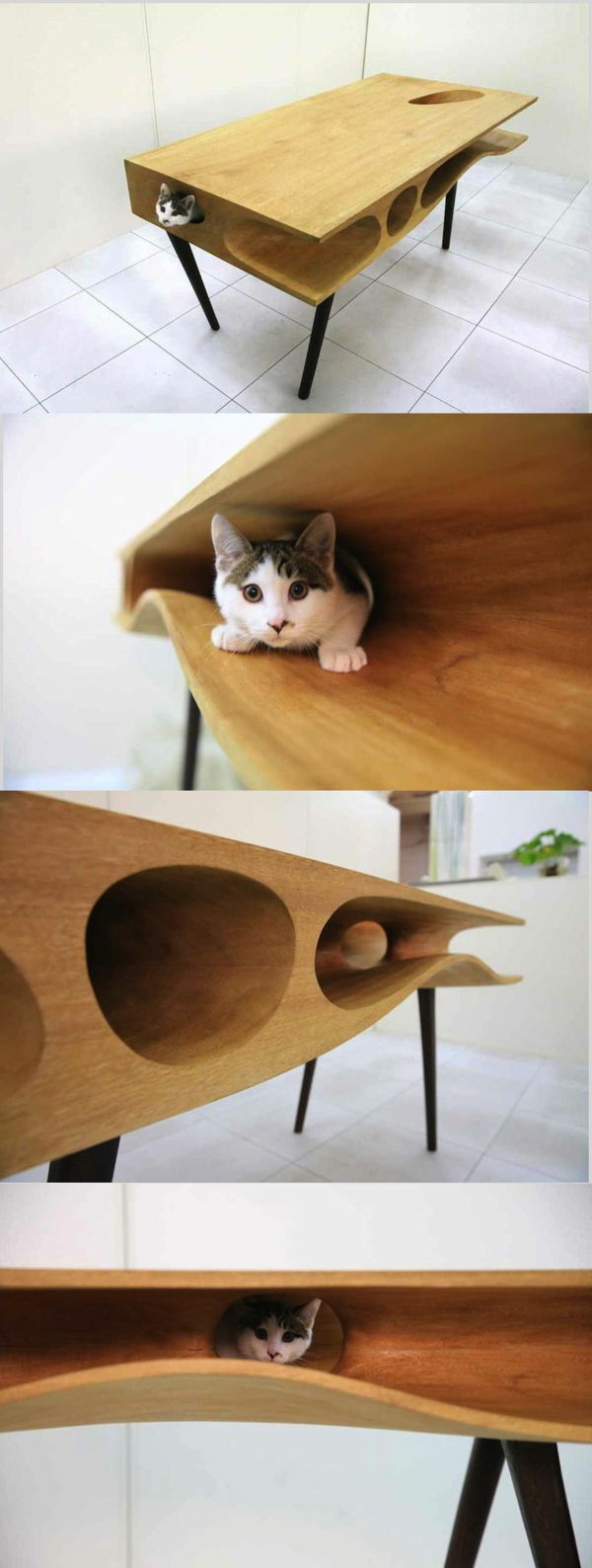 dizaino baldai katė-Chuchu-NY-rašomasis stalas