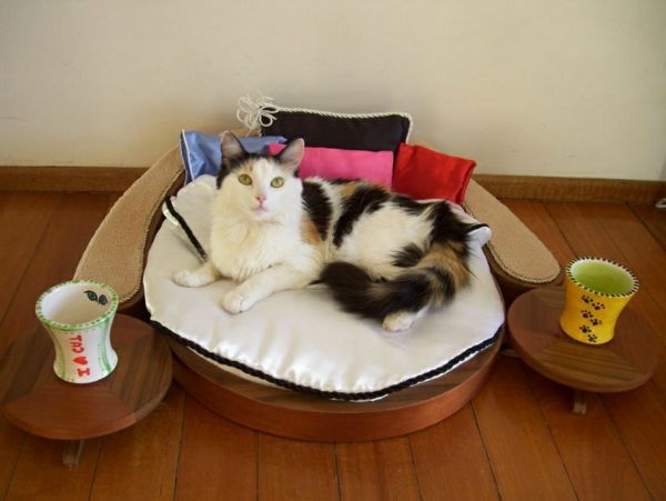 dizaino baldai katės savo lovų
