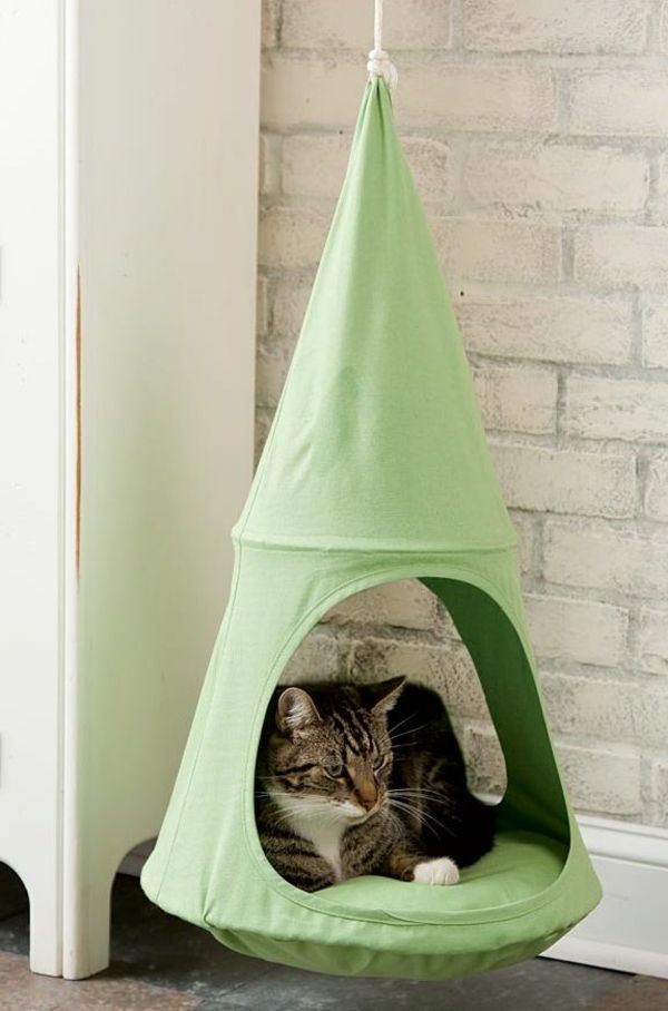 dizaino baldai katė-žalia-namas-kabo