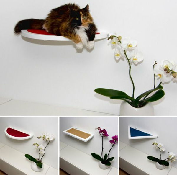 dizaino baldai kačių namų panteros