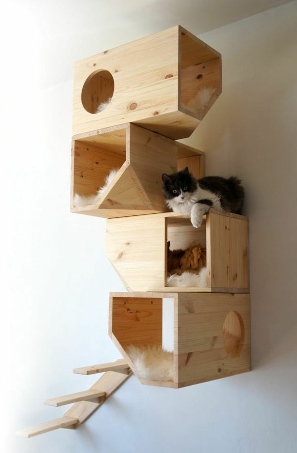 dizaino baldai katė-Imgur