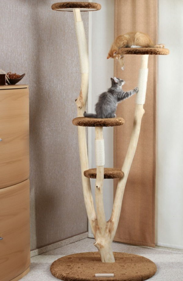 dizaino baldai katė-rarissima