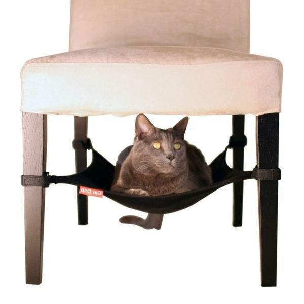 dizaino baldai katė kėdė-su-siurprizas
