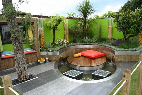 plante exotice și o piscină în grădină