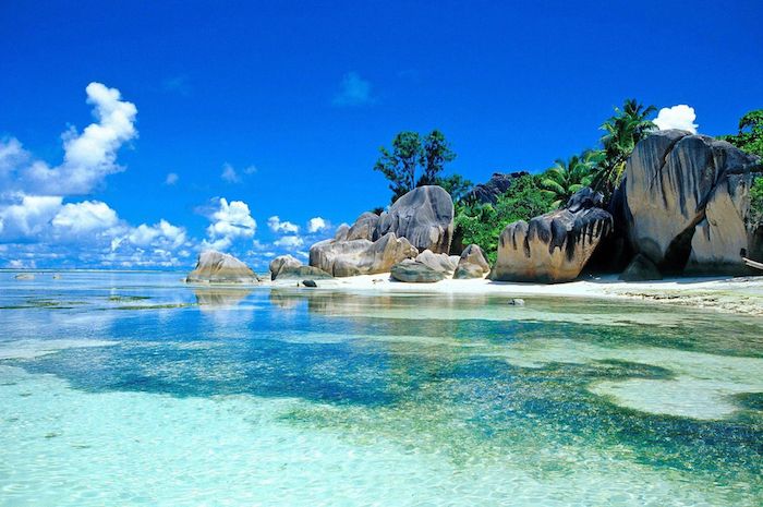 exotisk plats bredvid havet, stranden med palmer och stora stenar