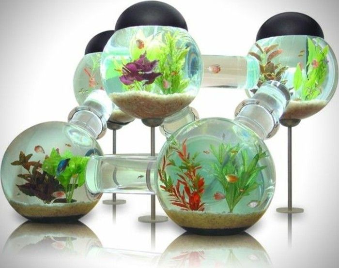 the-world-of-fisk akvarium-ball-vatten växter sand liten fisk-guldfisk-akvarium-enhet
