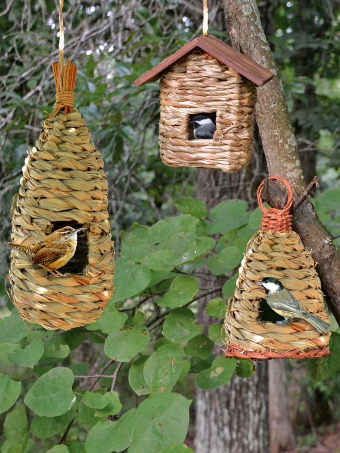 Drie vogelhuisjes in landelijke stijl, hangend aan de boom, drie vogels eten zaden