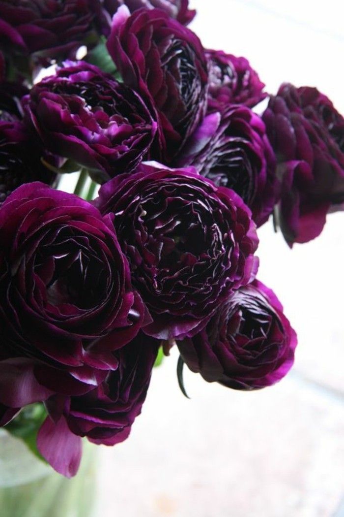 temno vijolična Peony nalašč-za-dekoracije
