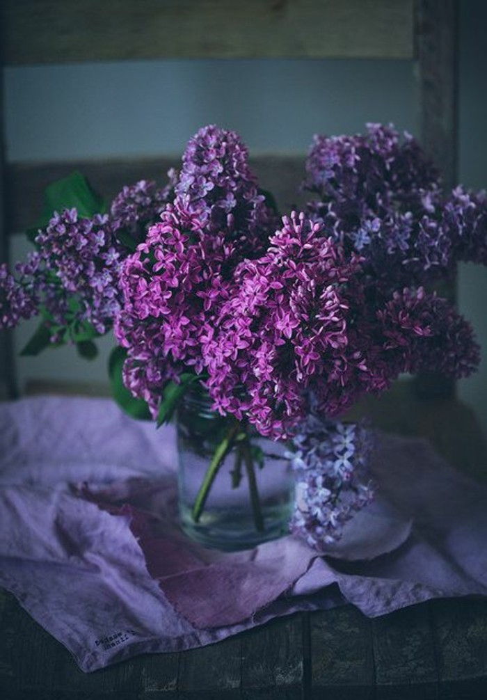 Lilla Blomst Foto Mørk-vintage Photo Vase med Lilac