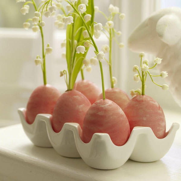 masă de-decorare-Paște-te de luare de ou-plantă
