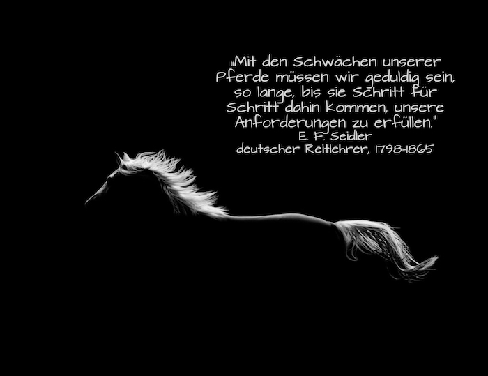 Dette er et bilde av en løpende svart hest med en hvit hale og en tett hvit mane - equine ord og hest bilder