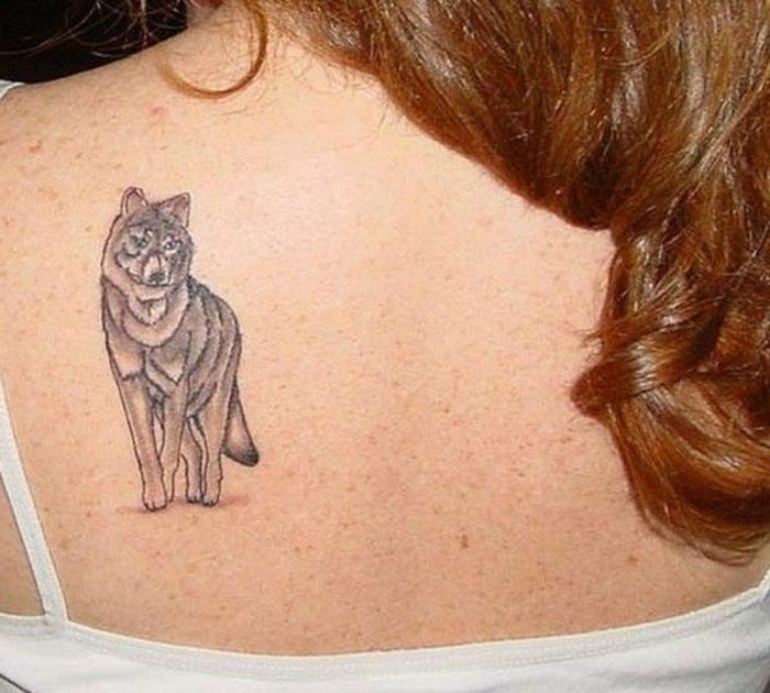Idėja tatuiruotė su pilka vilku, kurį moterys gali labai patinka