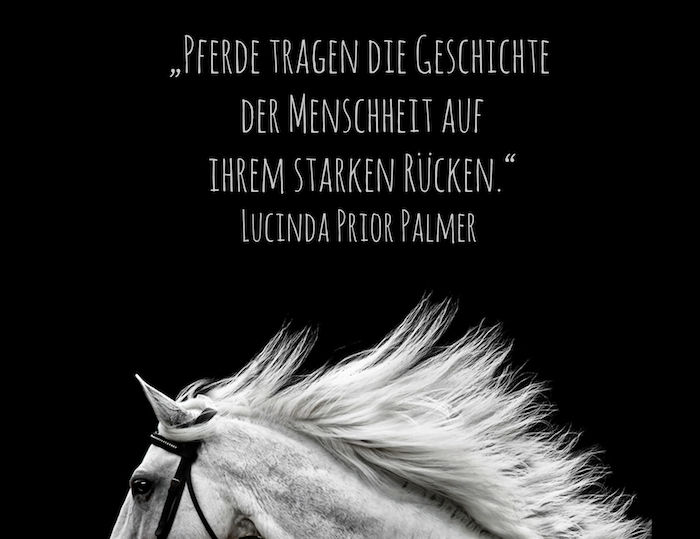 her er en kort hest og et sitat fra lucinda forrige palmer og et bilde med en wild, hvit hest med en hvit mane og svarte øyne