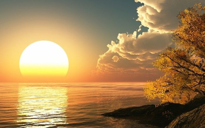 güzel günaydın ilk ışık su, sonbahar sarı yaprakları ile bir ağaç